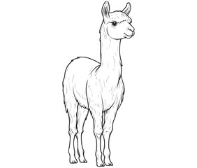 Alpaca silhouette vector, llama line art vector, animal vector
