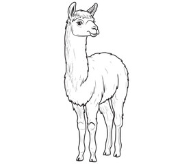 Alpaca silhouette vector, llama line art vector, animal vector