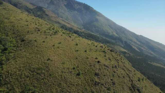 aerial view of Mount Arjuno