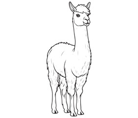 Alpaca silhouette vector, llama line art vector, animal vector