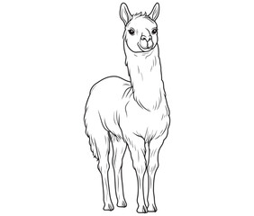 Alpaca silhouette vector, llama line art vector, animal vector