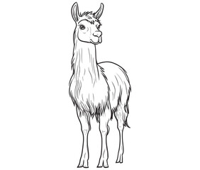 Alpaca silhouette vector, llama line art vector, animal vector