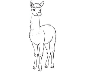 Alpaca silhouette vector, llama line art vector, animal vector