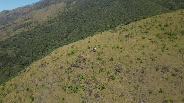 aerial view of Mount Arjuno