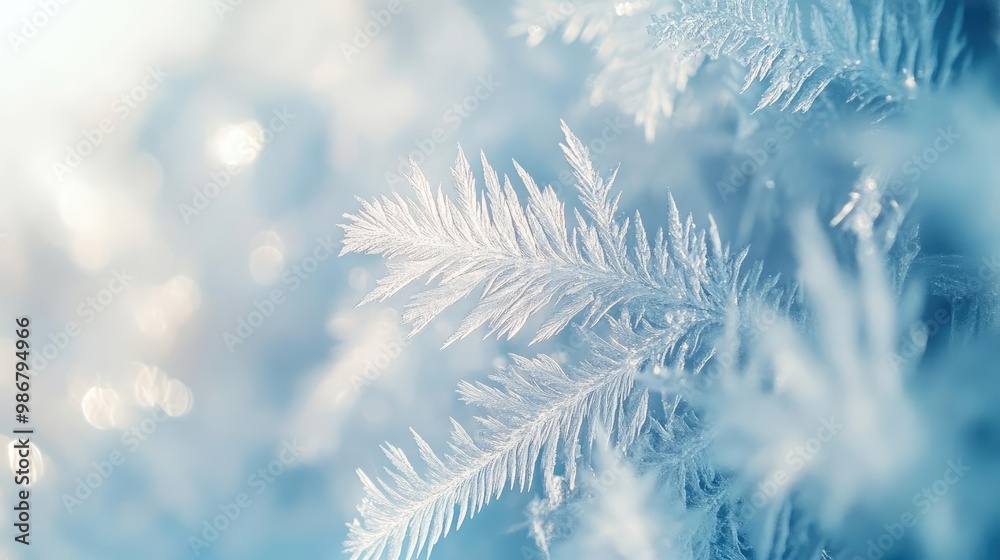 Poster delicate frost-covered leaf against a soft blue background, creating a serene winter atmosphere and 