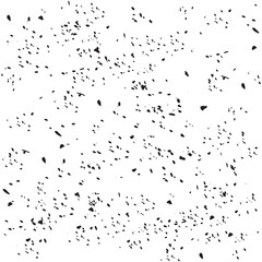 Black and white paint splashes. Grunge background. Abstract background. Ink texture.