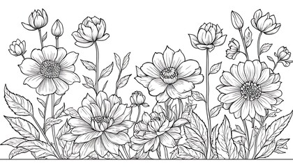 outline drawings of flowers for the coloring page,page, colouring, doodle, graphic, outline, vignetting, art, illustration, white, 954