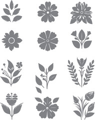 Fototapeta premium Creative Botanical Elements Vector Design Collection