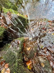waterfall in the woods