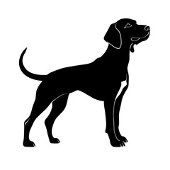 vector silhouette of a English Foxhound