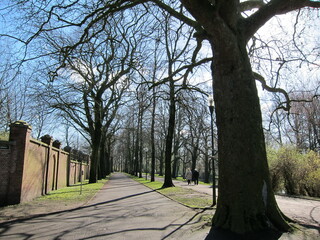 Belgium in 2011, random snapshot