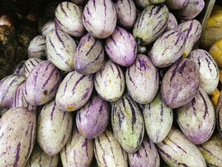 Background Purple pepino fruit