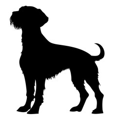 silhouette of a german wirehaired