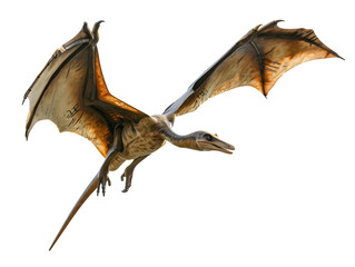 Fototapeta premium Stunning pterodactyl Dinosaur Isolated on Transparent Background for Visual Effects