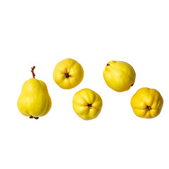 quince isolated