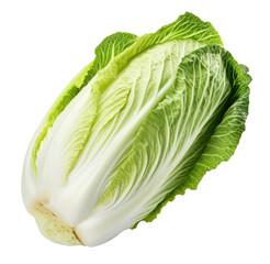 Fototapeta premium Chinese cabbage isolated on transparent background