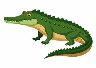 Obraz premium Playful Cartoon Crocodile on White Background,Adorable Cartoon Crocodile Isolated on White,Colorful Cartoon Crocodile Graphic