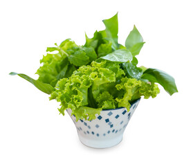 Top view of Fresh vegetables, basil, focus selective