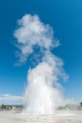 Eruption of the Great Fountain Geyser in Yellowstone National park.
