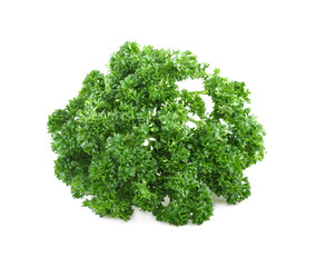 Fototapeta premium parsley leaves isolated on white background