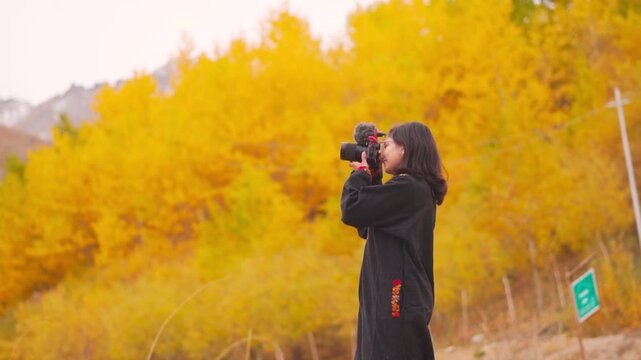 Indian Girl taking picture on camera of yellow autumn trees at Zanskar, Ladakh, India. Girl wearing phiran traditional dress. Young woman in the autumn woods. tourist taking photos in the woods