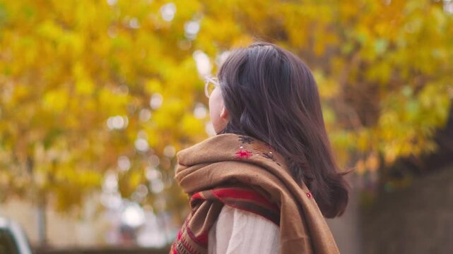 Portrait of beautiful Indian girl looking at autumn trees at Padum, Zanskar, India. Tourist enjoying holidays. Yellow autumn leaves on tree. Fall colors. 