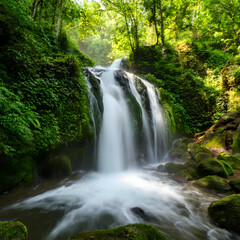 Obraz premium waterfall in the jungle 