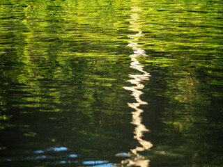 Amazon rainforest is reflected on the water surface of a side arm of the Amazon near the town of Jutaí.