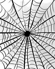Obraz premium Abstract Spider Web Digital Artwork