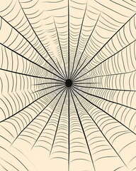 Obraz premium Intricate Abstract Spider Web Drawing