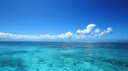 Fototapeta premium A clear blue sky with a gentle breeze, resembling the sky carefree nature