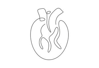 Human heart continuous single line drawing. Anatomical heart Isolated on white background vector illustration