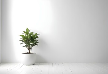 A potted plant with green leaves on a white table against a plain white wall.