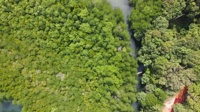 Top view of the forest with a small river where you can paddle a SUP board along the river.Water sports and nature activities