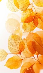 Obraz premium Autumn leaves frame on light background, seasonal illustration with copyspace for your text