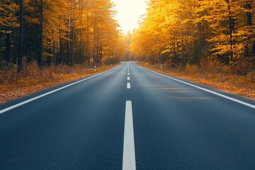 Obraz premium Long, empty road surrounded by autumn trees, leading towards the horizon.