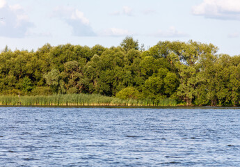 Green trees on the horizon on the lake shore