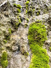 The river runs along the rocky cliffs in the mountains
