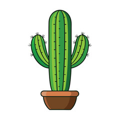 Cactus Plant illustration on white background.