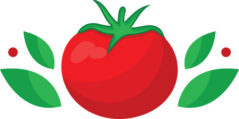 Tomato. Isolated vegetables on white background
