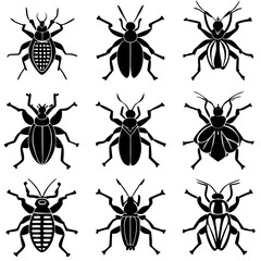 Pest Line Art Vector Illustration