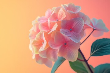 Fototapeta premium close-up of pastel-colored beautiful flowers on pastel gradient background, romantic floral banner