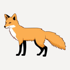 Obraz premium Elegant fox illustration, vector art