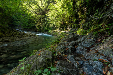 Fototapeta premium 山梨県西沢渓谷の流れと登山道