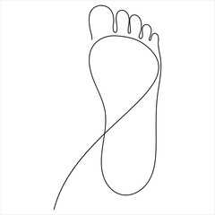 Continuous single one line art  drawing of  foot sole human organ concept vector