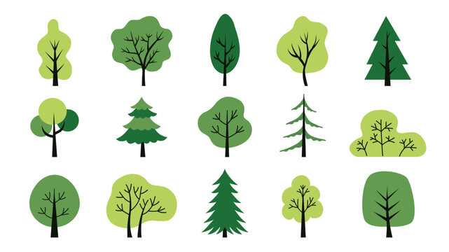 Colorful deciduous and coniferous trees set isolated on a white background. Design concept for a textbook, poster, banner. Simple flat style elements. Vector illustration. Biology theme stickers. 