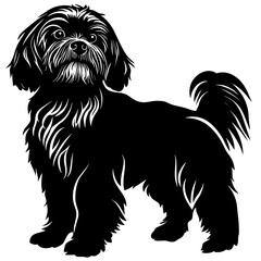 silhouette of a lhasa apso