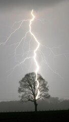 Lightning strikes a solitary tree during a thunderstorm at sunset on a rural landscape
