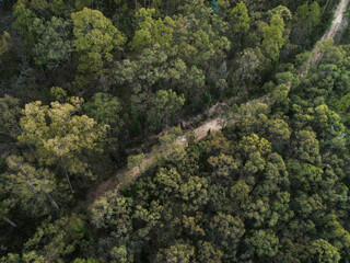 fire trail along the edge of a national park seen from aerial view