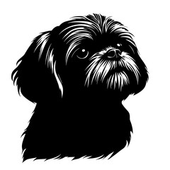 silhouette of a Shih Tzu